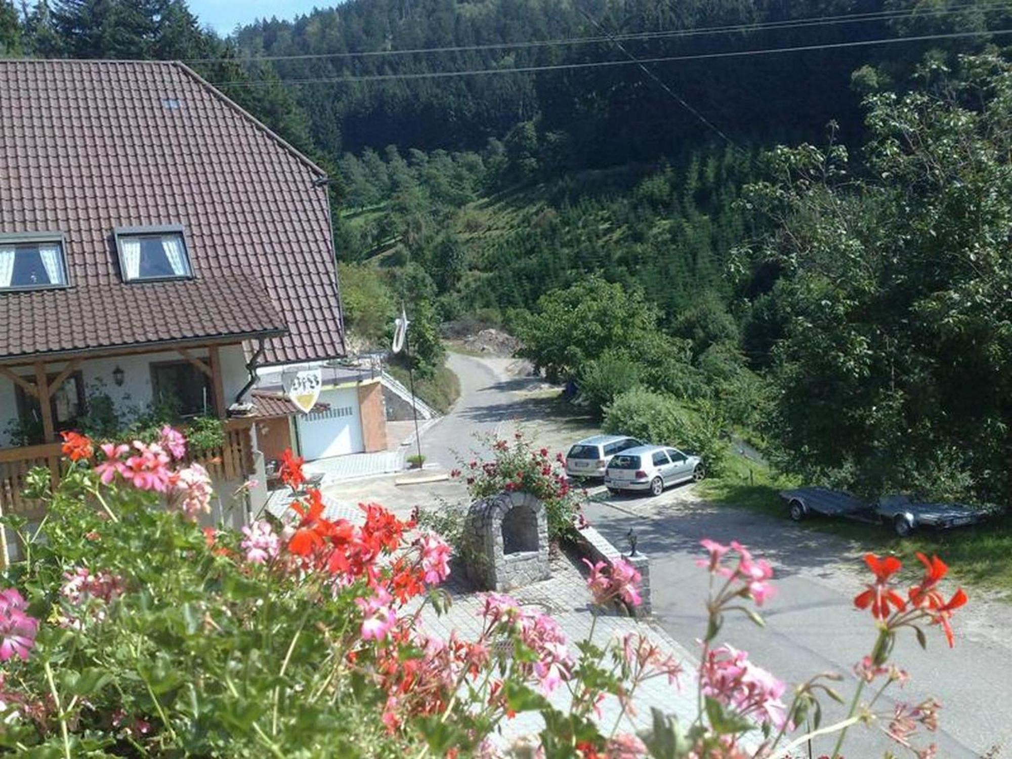 Ferienwohnung Schneckenhus Lautenbach المظهر الخارجي الصورة