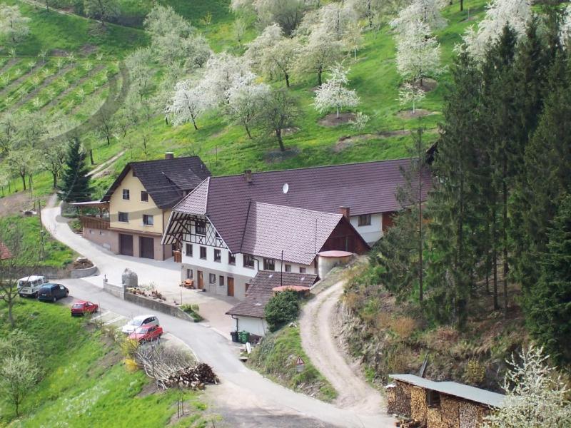 Ferienwohnung Schneckenhus Lautenbach المظهر الخارجي الصورة