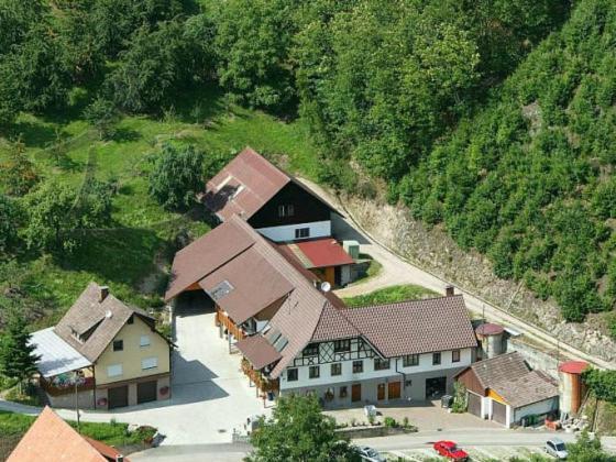 Ferienwohnung Schneckenhus Lautenbach المظهر الخارجي الصورة