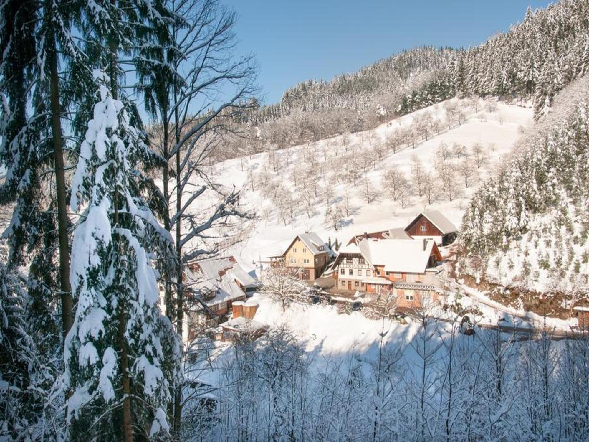 Ferienwohnung Schneckenhus Lautenbach المظهر الخارجي الصورة