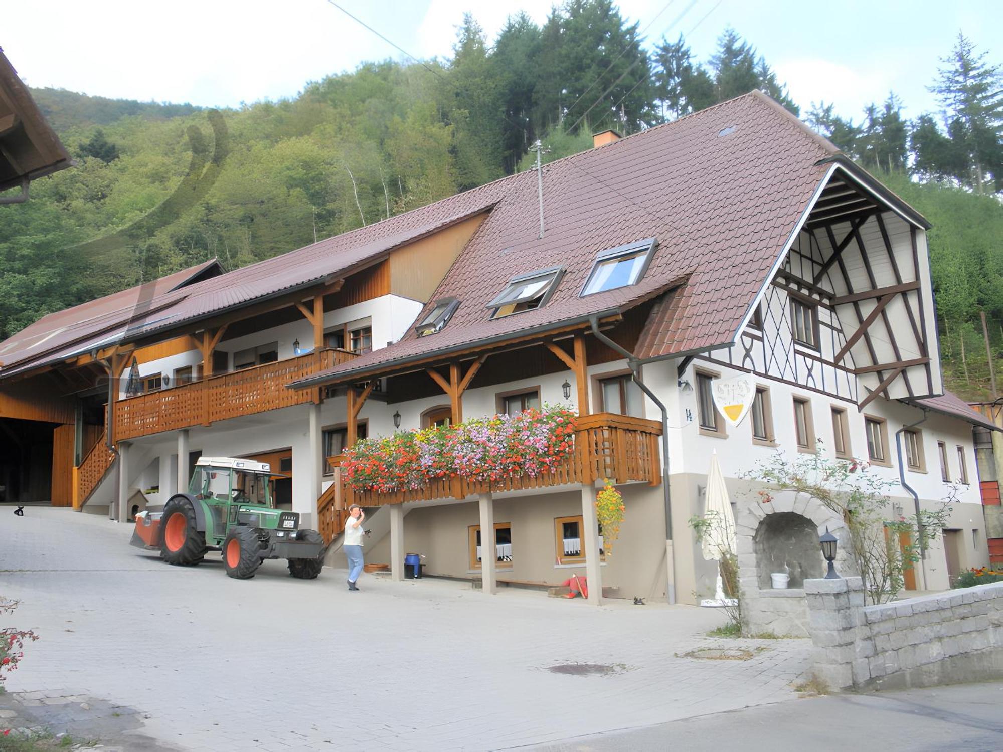 Ferienwohnung Schneckenhus Lautenbach المظهر الخارجي الصورة