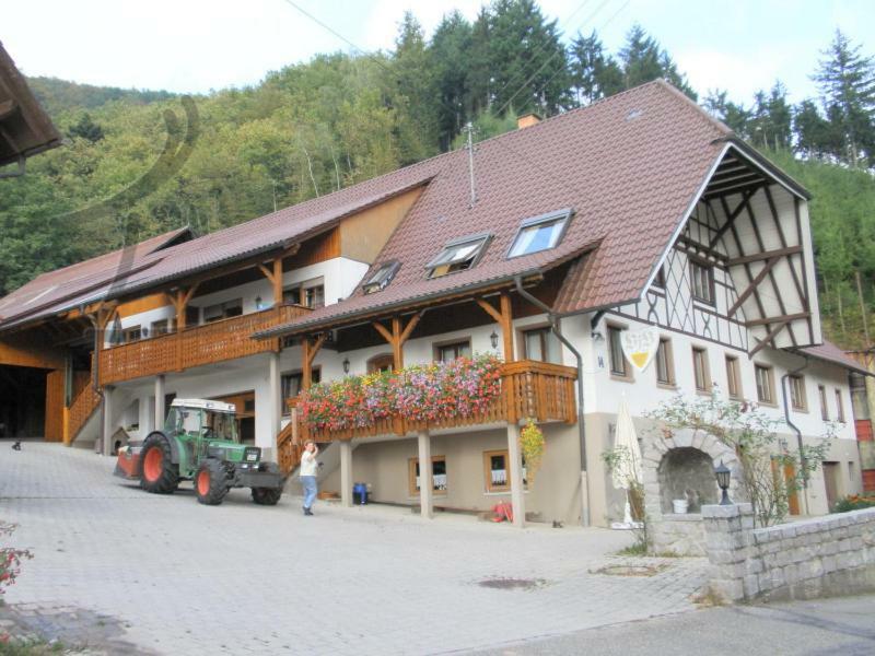 Ferienwohnung Schneckenhus Lautenbach المظهر الخارجي الصورة